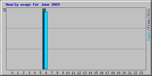 Hourly usage for June 2025